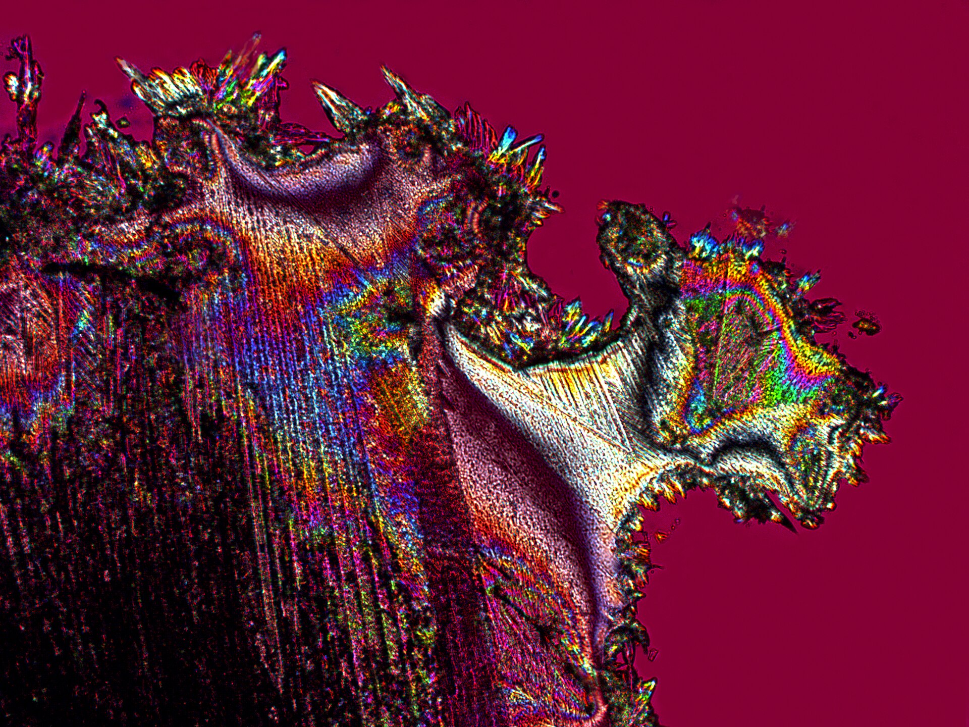Microscopic urea crystals representing the purified chemical used to manufacture diesel exhaust fluid